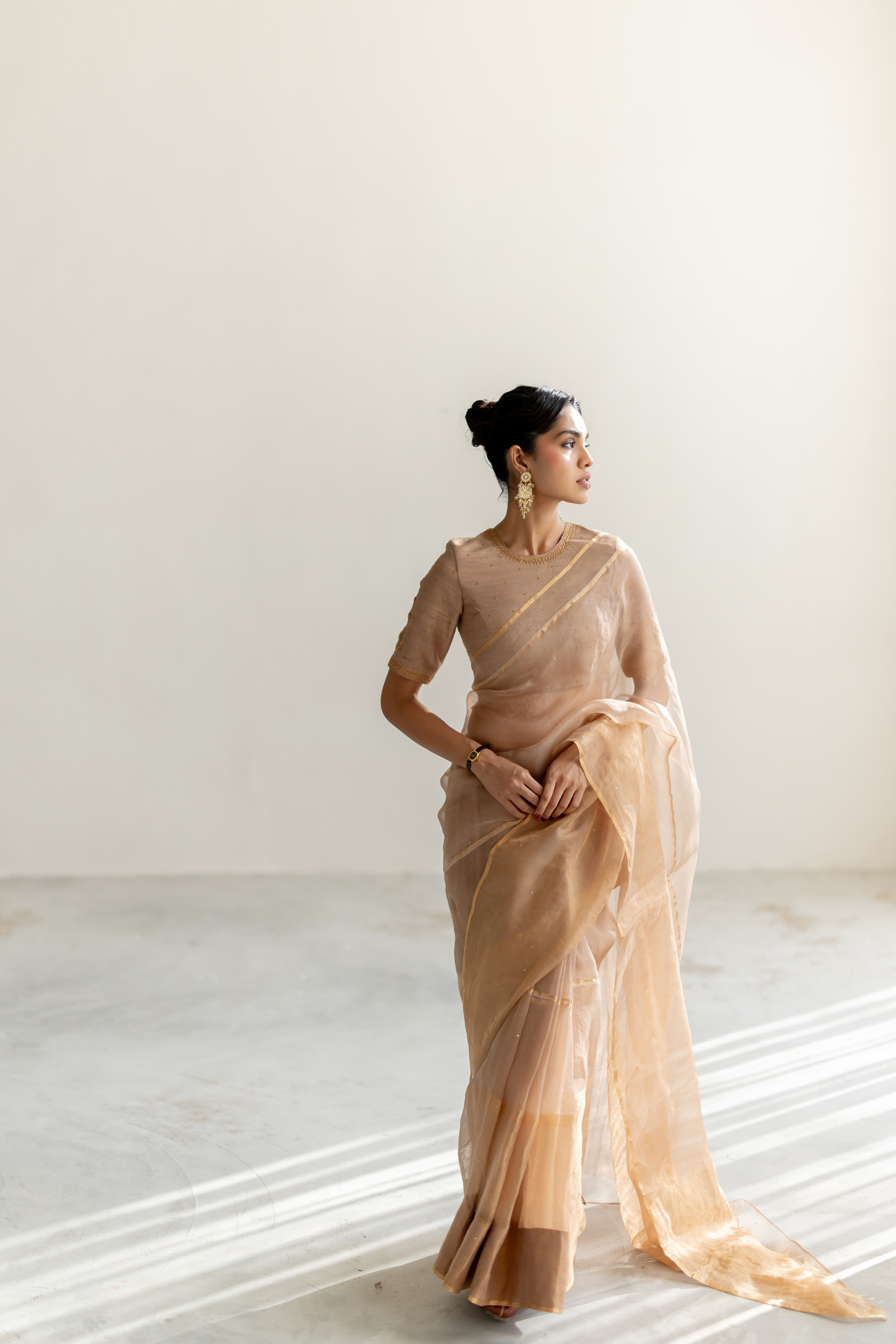 Vintage Brown Gulbahar Saree & Blouse