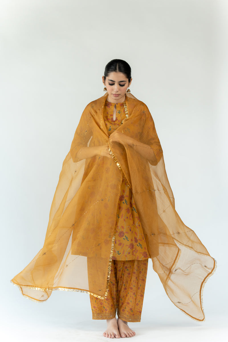 Adi Bel Odhani - Mustard