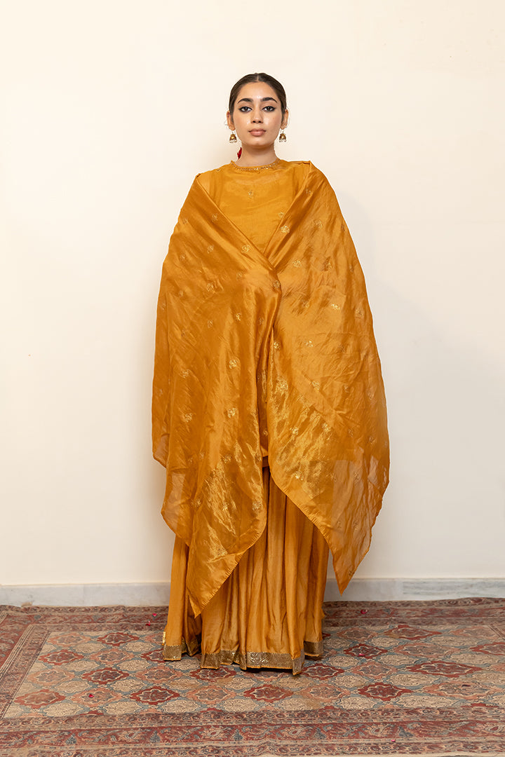 Joohi Odhani
