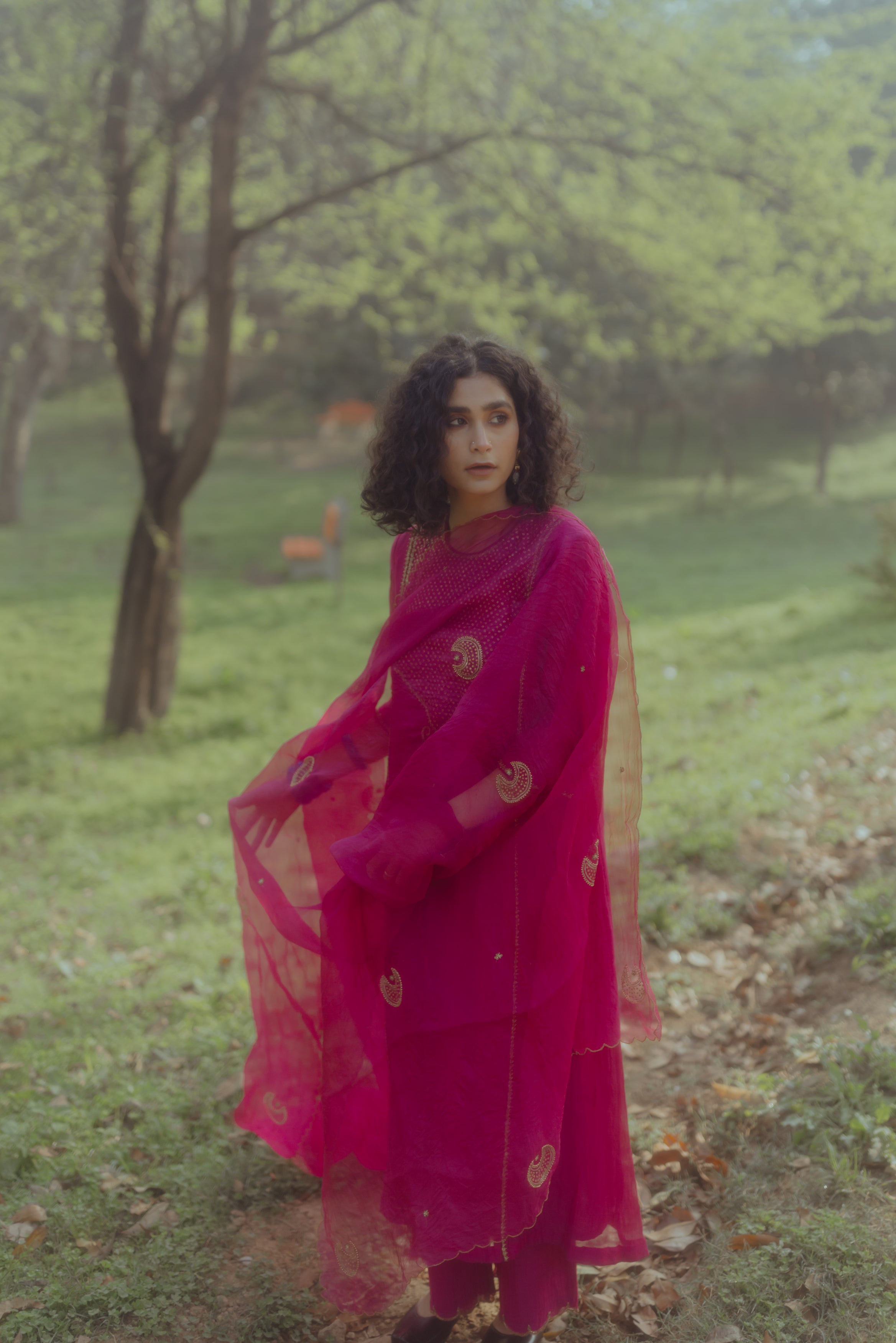 Chaand Odhani (organza)