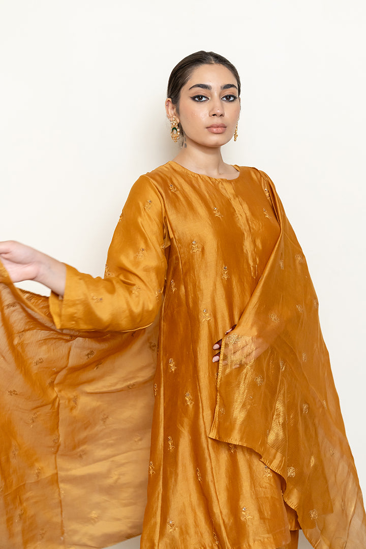 Roohi Kalidaar Kurta Set (Set Of 3)