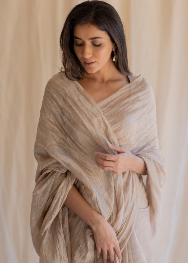 Inaara Tissue Saree & Blouse (Set of 2)