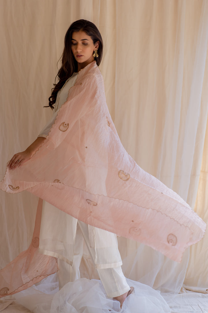 Baby Pink Chaand Organza Odhani