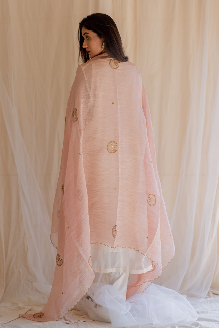 Baby Pink Chaand Organza Odhani