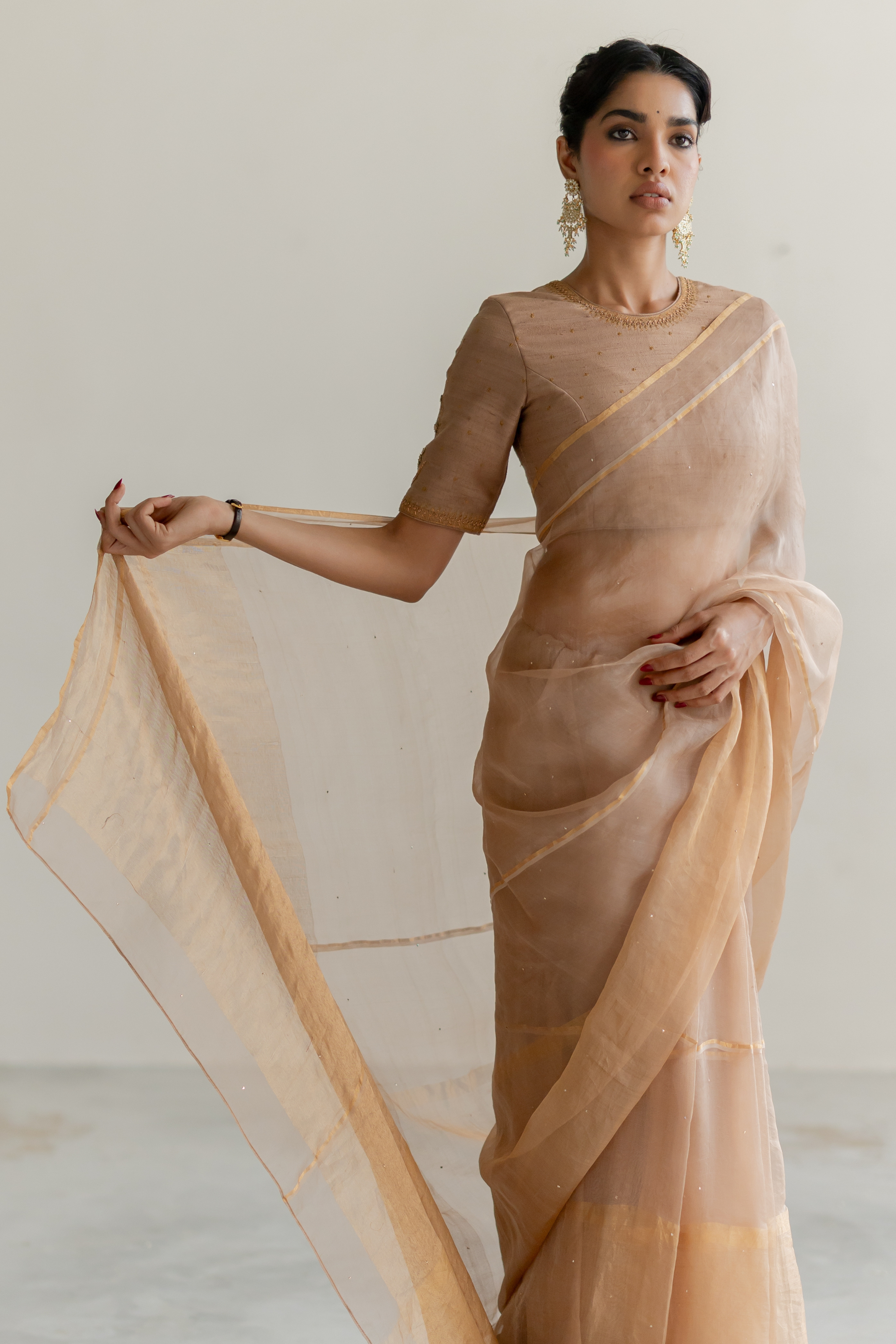 Vintage Brown Gulbahar Saree & Blouse