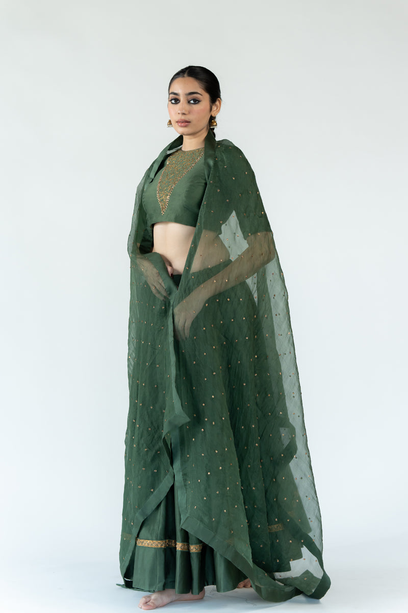 Chinar Lehenga Set - Olive Green (Set of 3)