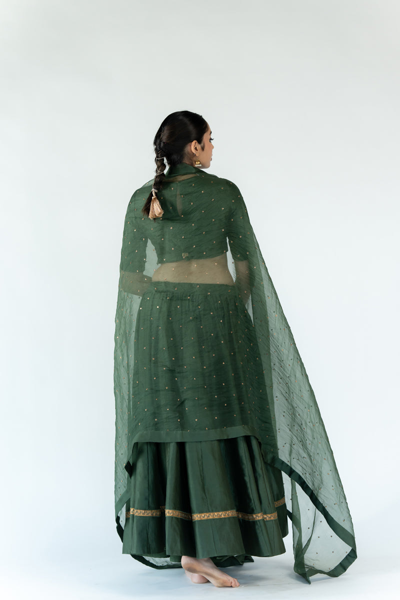 Sitara Odhani - Olive Green