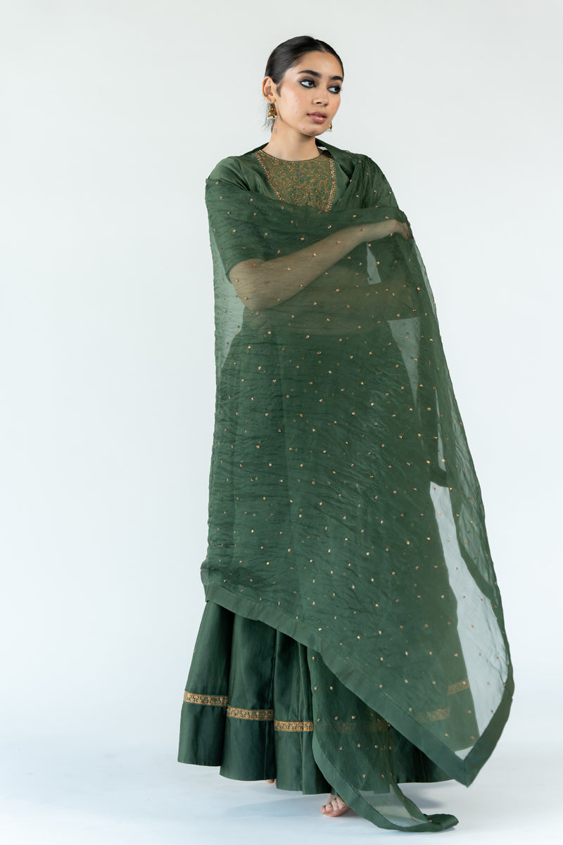 Sitara Odhani - Olive Green