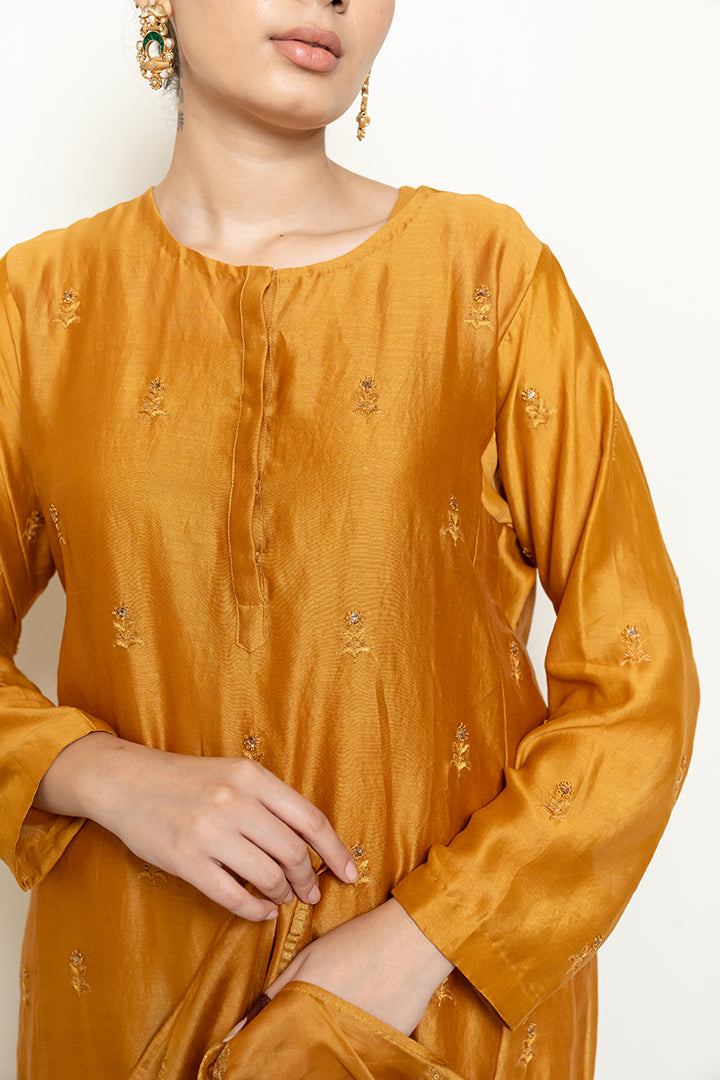 Roohi Kalidaar Kurta Set - Mustard