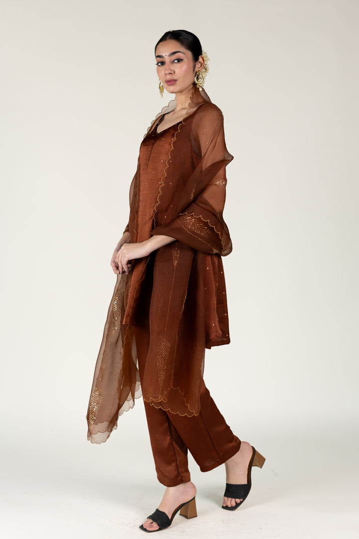 Brown Roshni Kurta with Shama Odhani