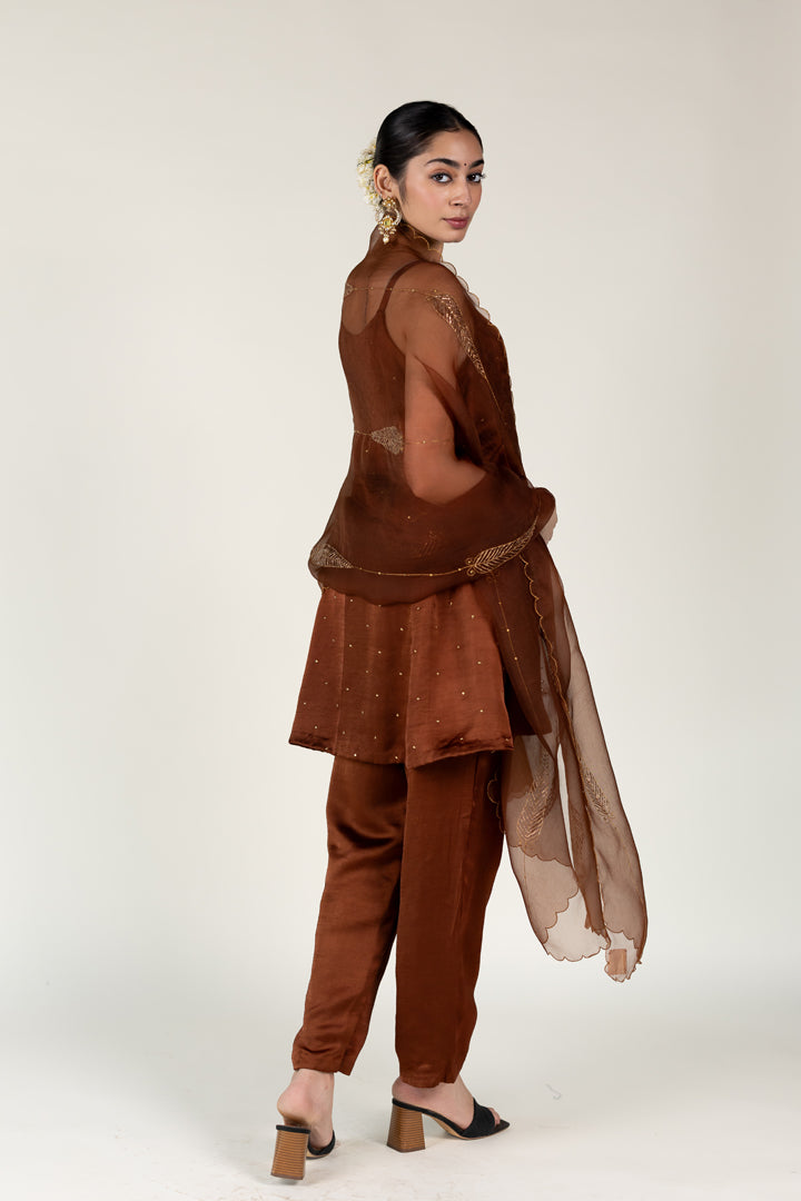 Brown Roshni Kurta with Shama Odhani