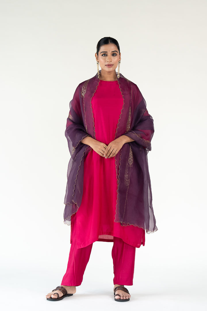 Rani Pink Gulzar Kurta (set of 3)