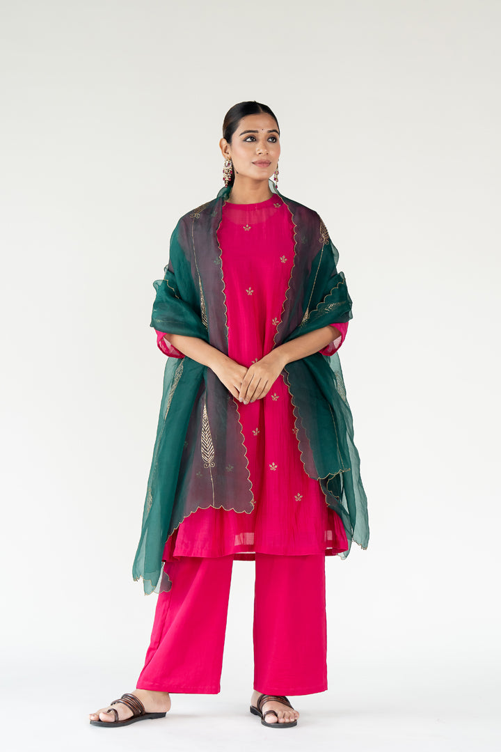 Rani Pink Ekra Kurta (set of 3)