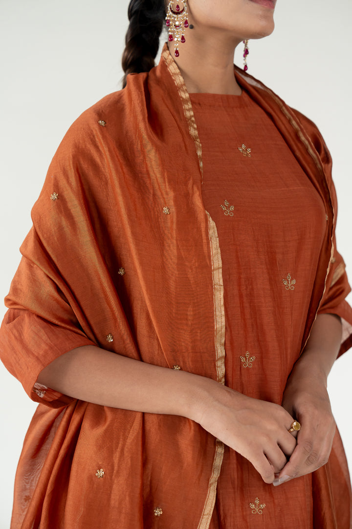 Rust Ekra Kurta (set of 3)