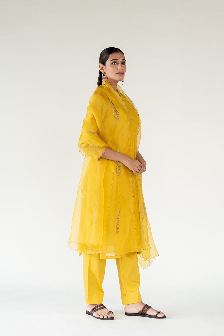 Yellow Chaand Kurta (set of 3)