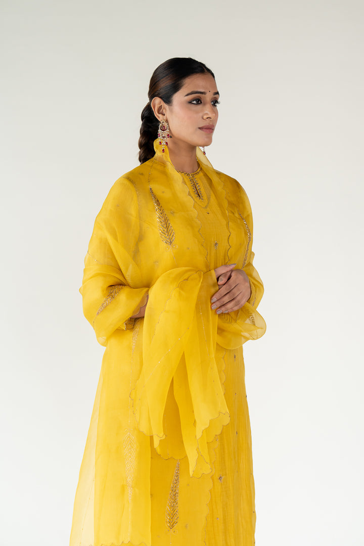 Yellow Chaand Kurta (set of 3)